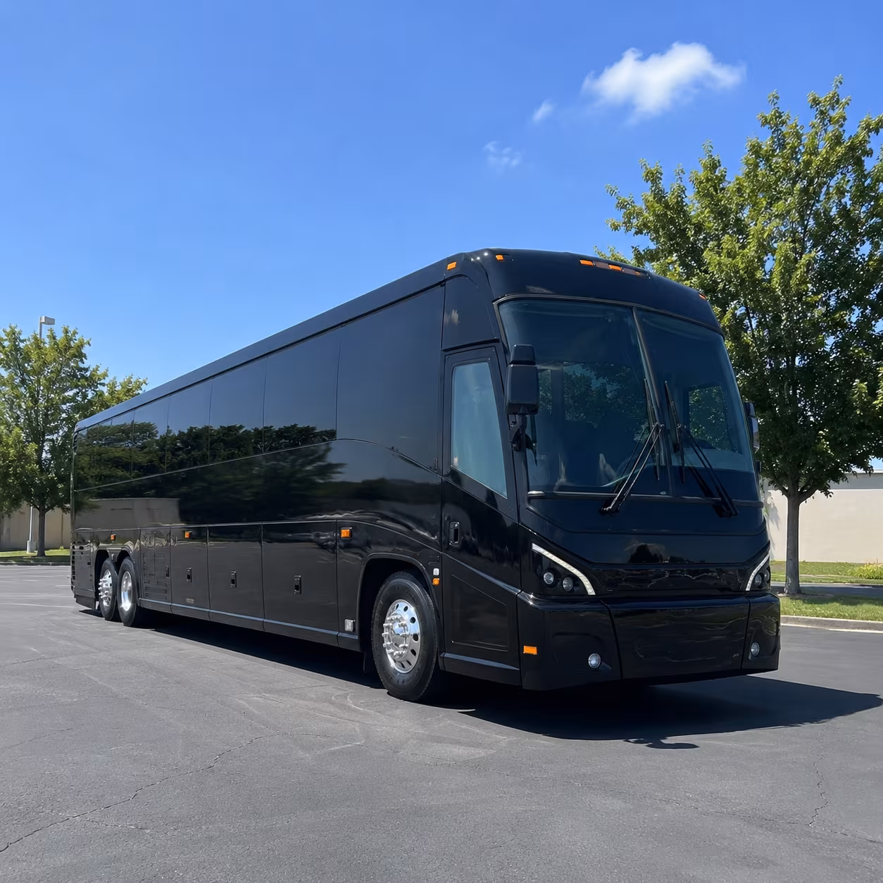 cape coral 56 passenger charter bus