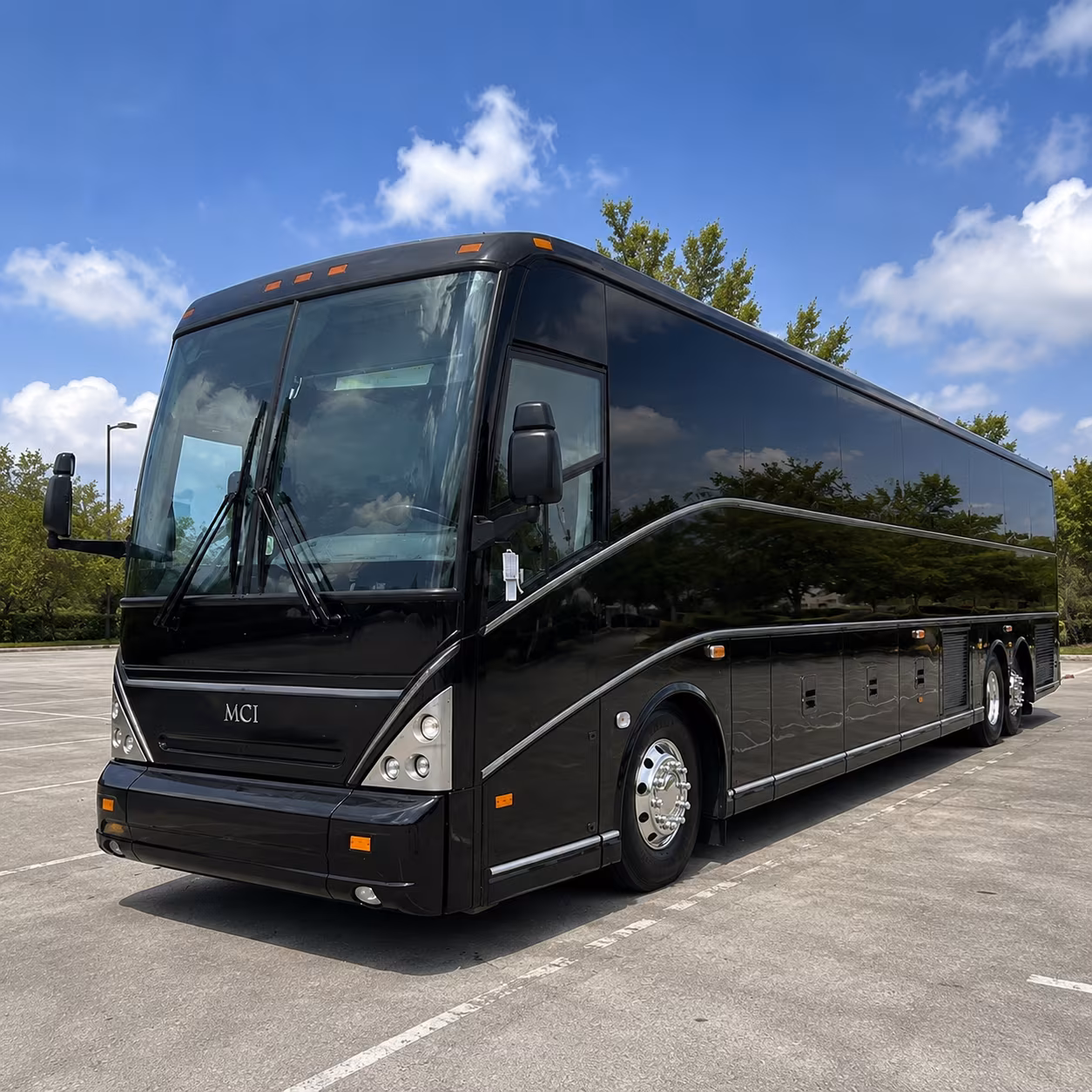 group airport transfers for cruise passengers connecting through southwest florida